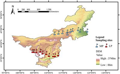 Limiting resource and leaf functional traits jointly determine distribution patterns of leaf intrinsic water use efficiency along aridity gradients